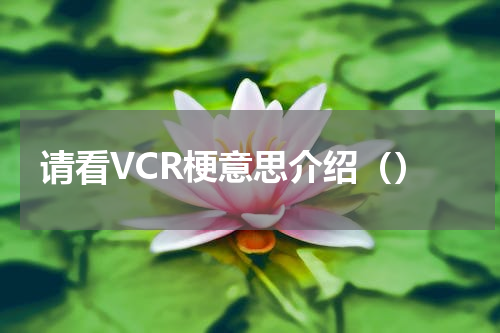请看VCR梗意思介绍（）