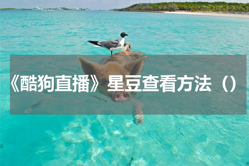 《酷狗直播》星豆查看方法（）