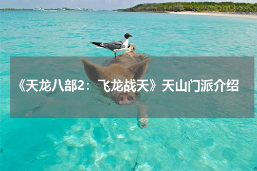 《天龙八部2：飞龙战天》天山门派介绍