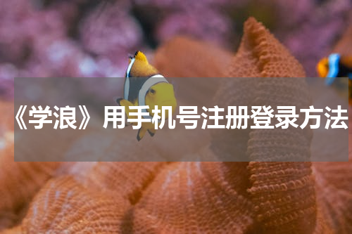 《学浪》用手机号注册登录方法