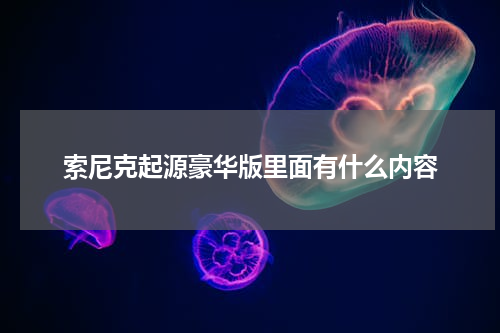 索尼克起源豪华版里面有什么内容