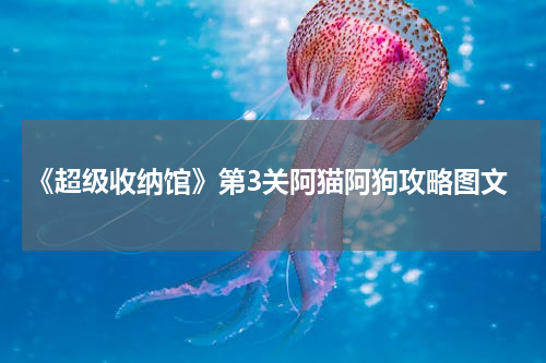 《超级收纳馆》第3关阿猫阿狗攻略图文