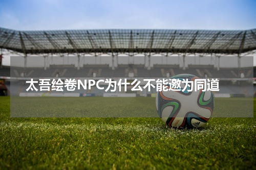 太吾绘卷NPC为什么不能邀为同道