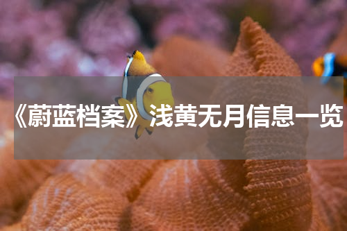 《蔚蓝档案》浅黄无月信息一览