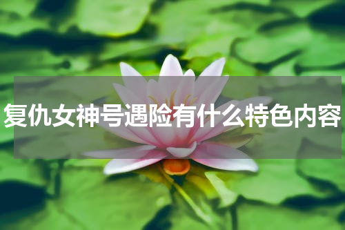 复仇女神号遇险有什么特色内容