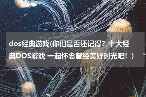 dos经典游戏(你们是否还记得？十大经典DOS游戏 一起怀念曾经美好时光吧！)