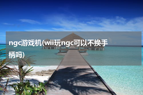 ngc游戏机(wii玩ngc可以不换手柄吗)
