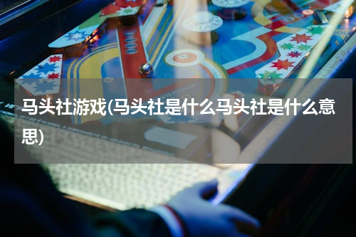 马头社游戏(马头社是什么马头社是什么意思)