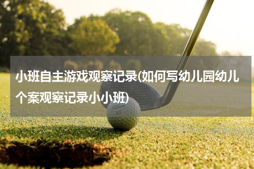 小班自主游戏观察记录(如何写幼儿园幼儿个案观察记录小小班)