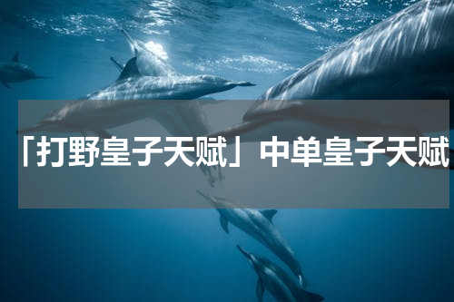 「打野皇子天赋」中单皇子天赋