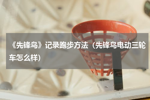 《先锋鸟》记录跑步方法（先锋鸟电动三轮车怎么样）