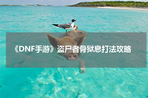 《DNF手游》盗尸者骨狱息打法攻略