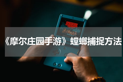 《摩尔庄园手游》螳螂捕捉方法