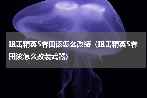 狙击精英5春田该怎么改装（狙击精英5春田该怎么改装武器）