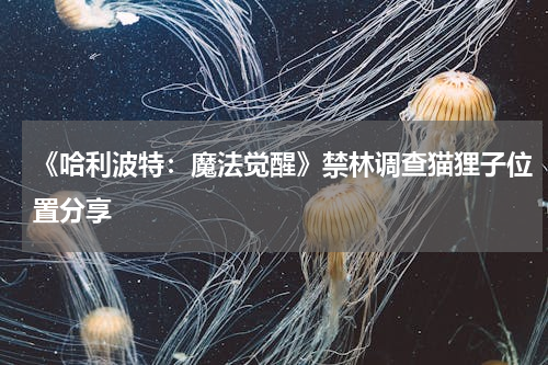 《哈利波特：魔法觉醒》禁林调查猫狸子位置分享