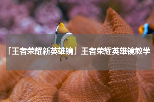 「王者荣耀新英雄镜」王者荣耀英雄镜教学