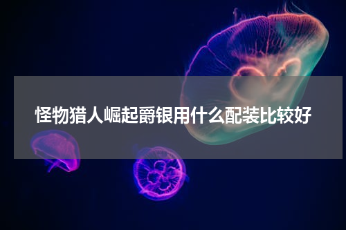 怪物猎人崛起爵银用什么配装比较好