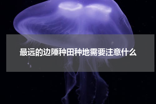 最远的边陲种田种地需要注意什么