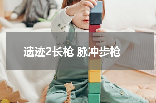 遗迹2长枪 脉冲步枪