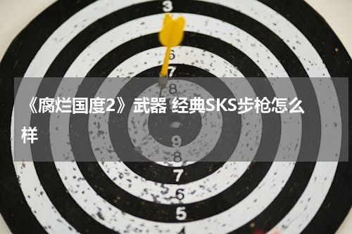 《腐烂国度2》武器 经典SKS步枪怎么样