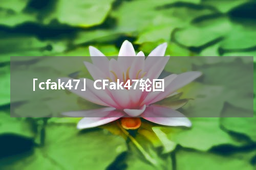 「cfak47」CFak47轮回