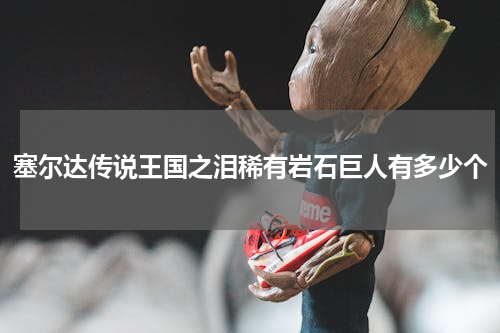 塞尔达传说王国之泪稀有岩石巨人有多少个