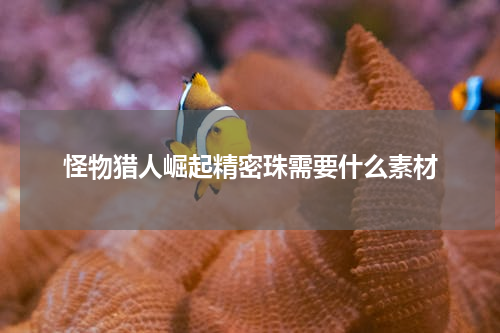 怪物猎人崛起精密珠需要什么素材