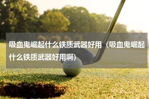 吸血鬼崛起什么铁质武器好用（吸血鬼崛起什么铁质武器好用啊）