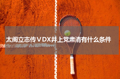 太阁立志传ⅤDX井上党肃清有什么条件