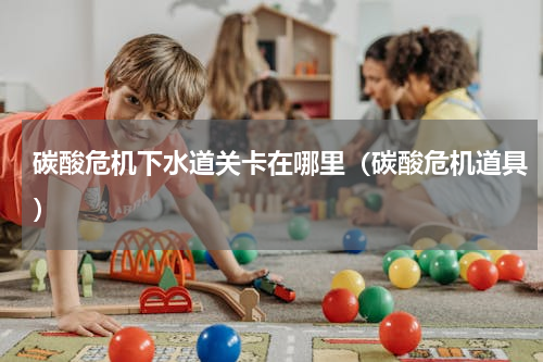 碳酸危机下水道关卡在哪里（碳酸危机道具）