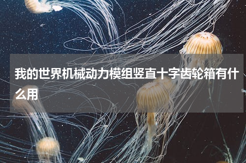 我的世界机械动力模组竖直十字齿轮箱有什么用