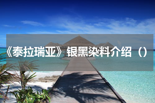 《泰拉瑞亚》银黑染料介绍（）