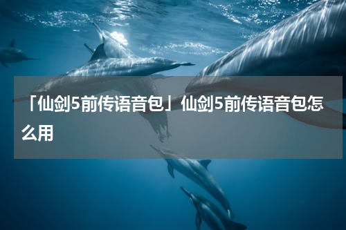 「仙剑5前传语音包」仙剑5前传语音包怎么用