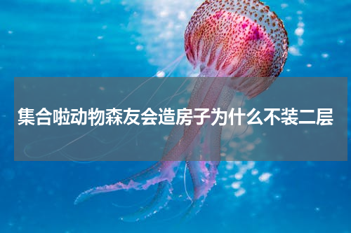 集合啦动物森友会造房子为什么不装二层