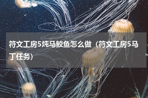 符文工房5炖马鲛鱼怎么做（符文工房5马丁任务）