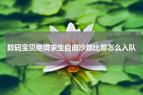 数码宝贝绝境求生自由沙路比兽怎么入队