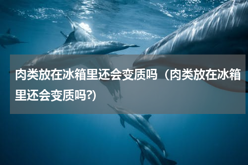 肉类放在冰箱里还会变质吗（肉类放在冰箱里还会变质吗?）