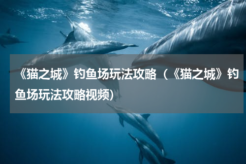 《猫之城》钓鱼场玩法攻略（《猫之城》钓鱼场玩法攻略视频）