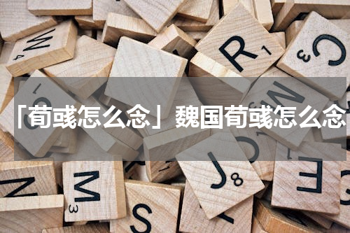 「荀彧怎么念」魏国荀彧怎么念