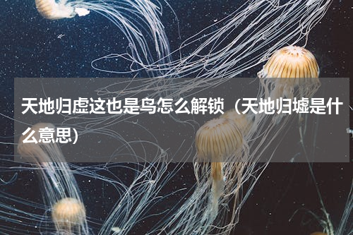 天地归虚这也是鸟怎么解锁（天地归墟是什么意思）