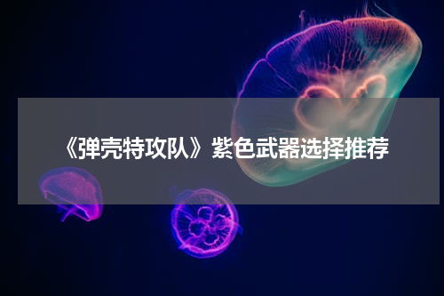 《弹壳特攻队》紫色武器选择推荐