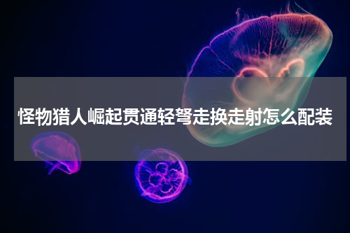 怪物猎人崛起贯通轻弩走换走射怎么配装