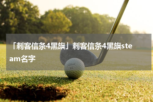 「刺客信条4黑旗」刺客信条4黑旗steam名字