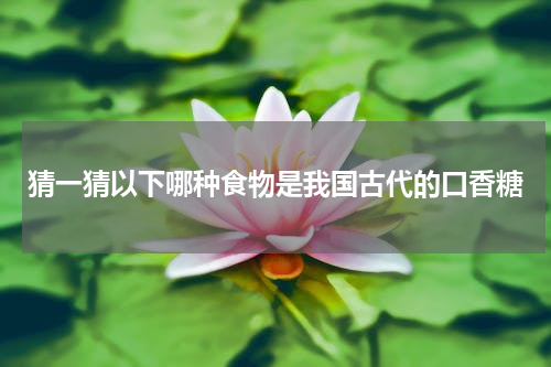 猜一猜以下哪种食物是我国古代的口香糖