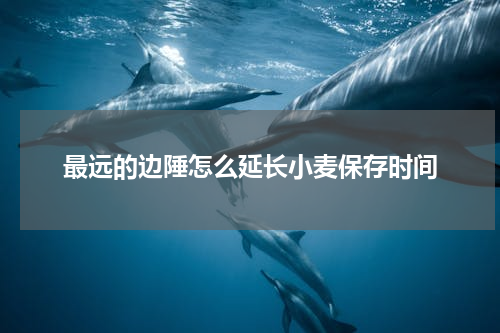 最远的边陲怎么延长小麦保存时间