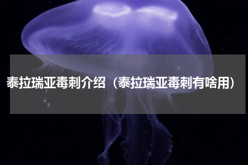 泰拉瑞亚毒刺介绍（泰拉瑞亚毒刺有啥用）