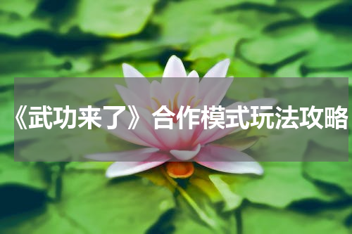 《武功来了》合作模式玩法攻略