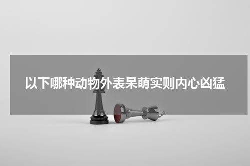 以下哪种动物外表呆萌实则内心凶猛