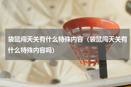 袋鼠闯天关有什么特殊内容（袋鼠闯天关有什么特殊内容吗）
