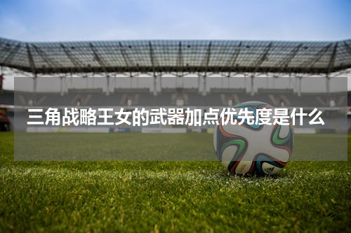 三角战略王女的武器加点优先度是什么